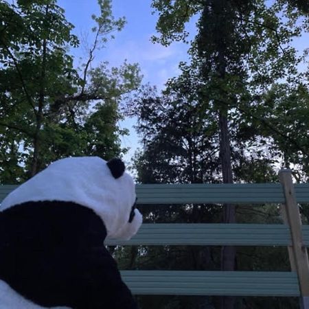 La Cabane Du Panda Abrest Bagian luar foto