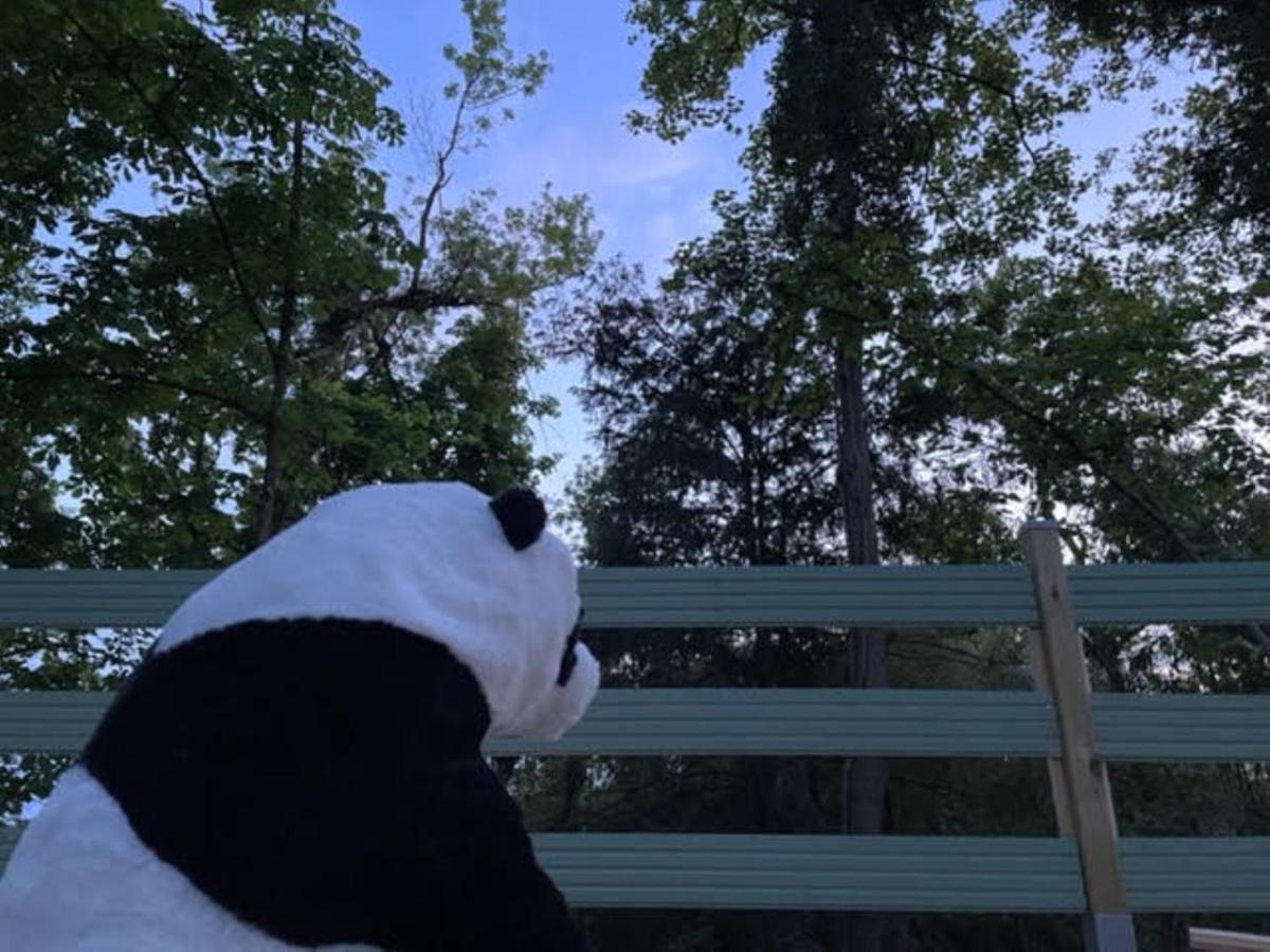 La Cabane Du Panda Abrest Bagian luar foto